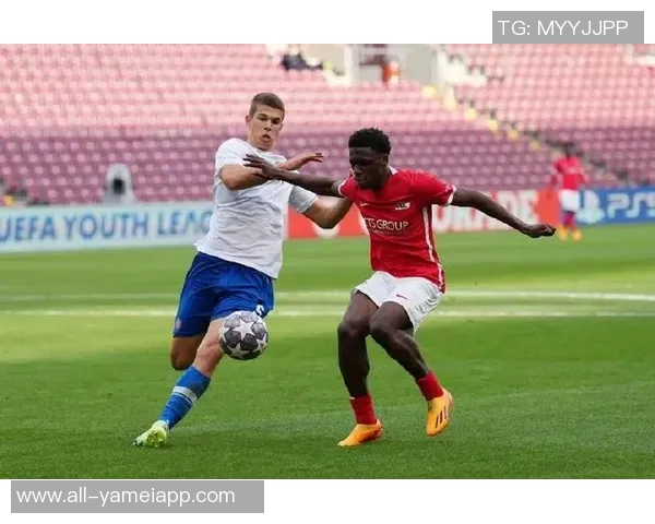 英媒称热刺小将武什科维奇外租汉堡表现优异助球队提升